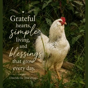 Rustic farmhouse chicken standing in tall grass with inspirational quote about grateful hearts and simple living